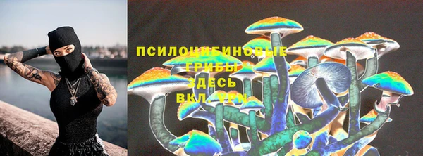 ПСИЛОЦИБИНОВЫЕ ГРИБЫ Аркадак