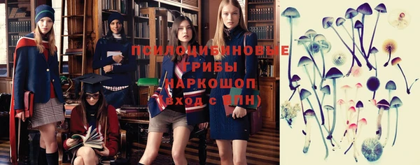 ПСИЛОЦИБИНОВЫЕ ГРИБЫ Аркадак