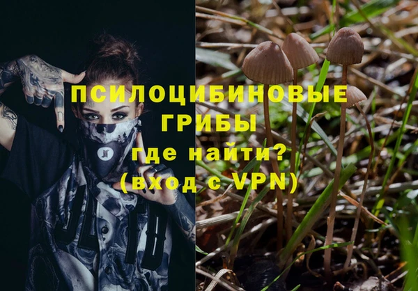 мяу мяу мука Арсеньев