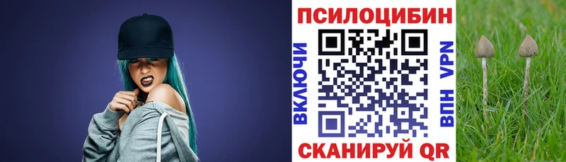Галлюциногенные грибы MAGIC MUSHROOMS  Купить где  Сальск 